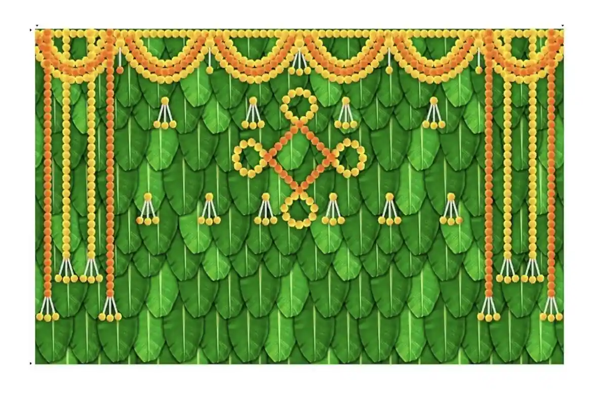 Backdrop