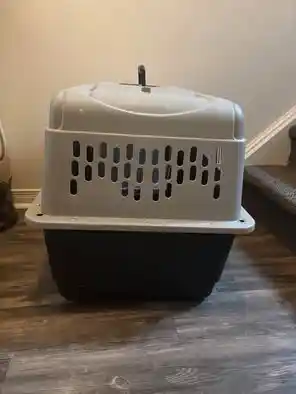 Dog Crate for rent