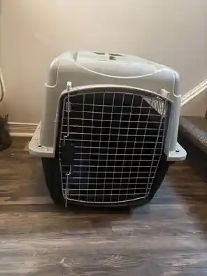 Dog Crate for rent