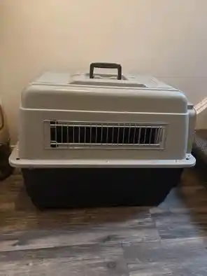 Dog Crate for rent