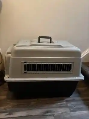 Dog Crate for rent