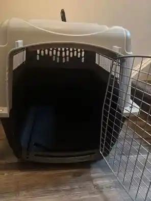 Dog Crate for rent