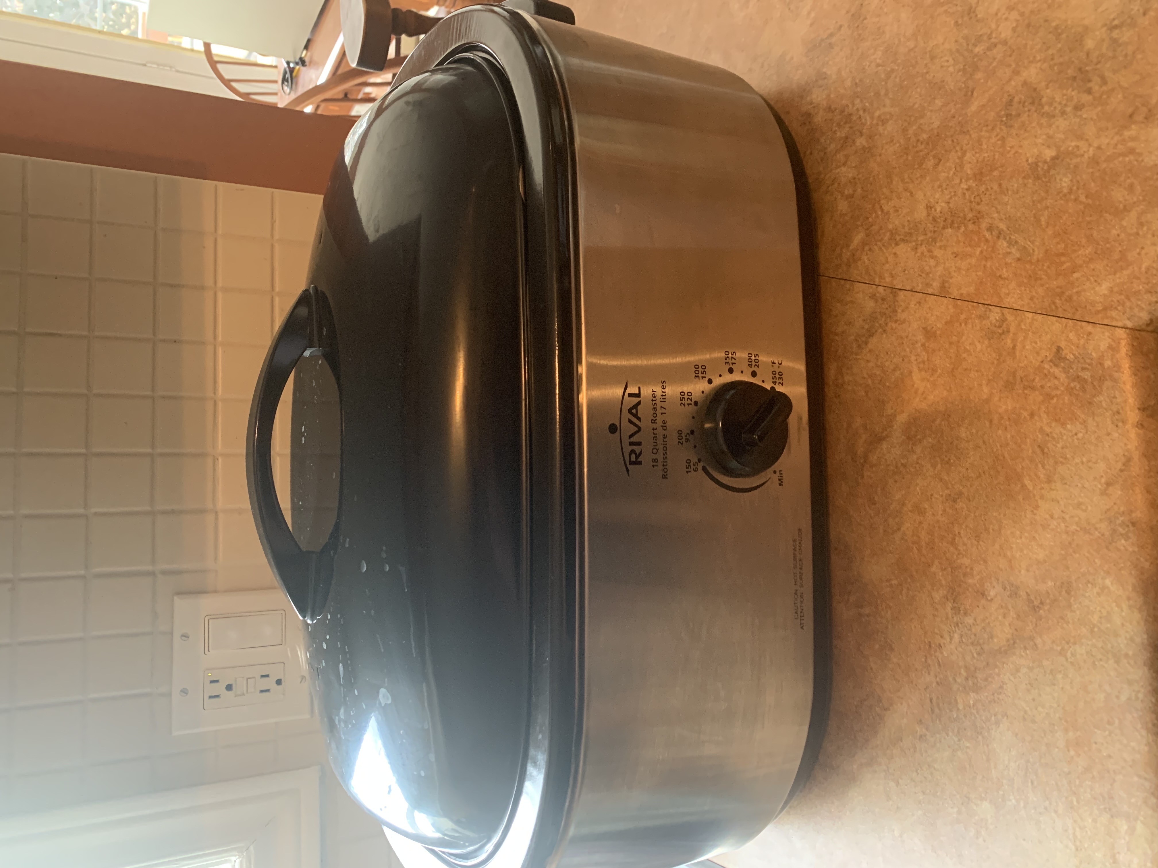 Rival Electric 18 Quart Roaster