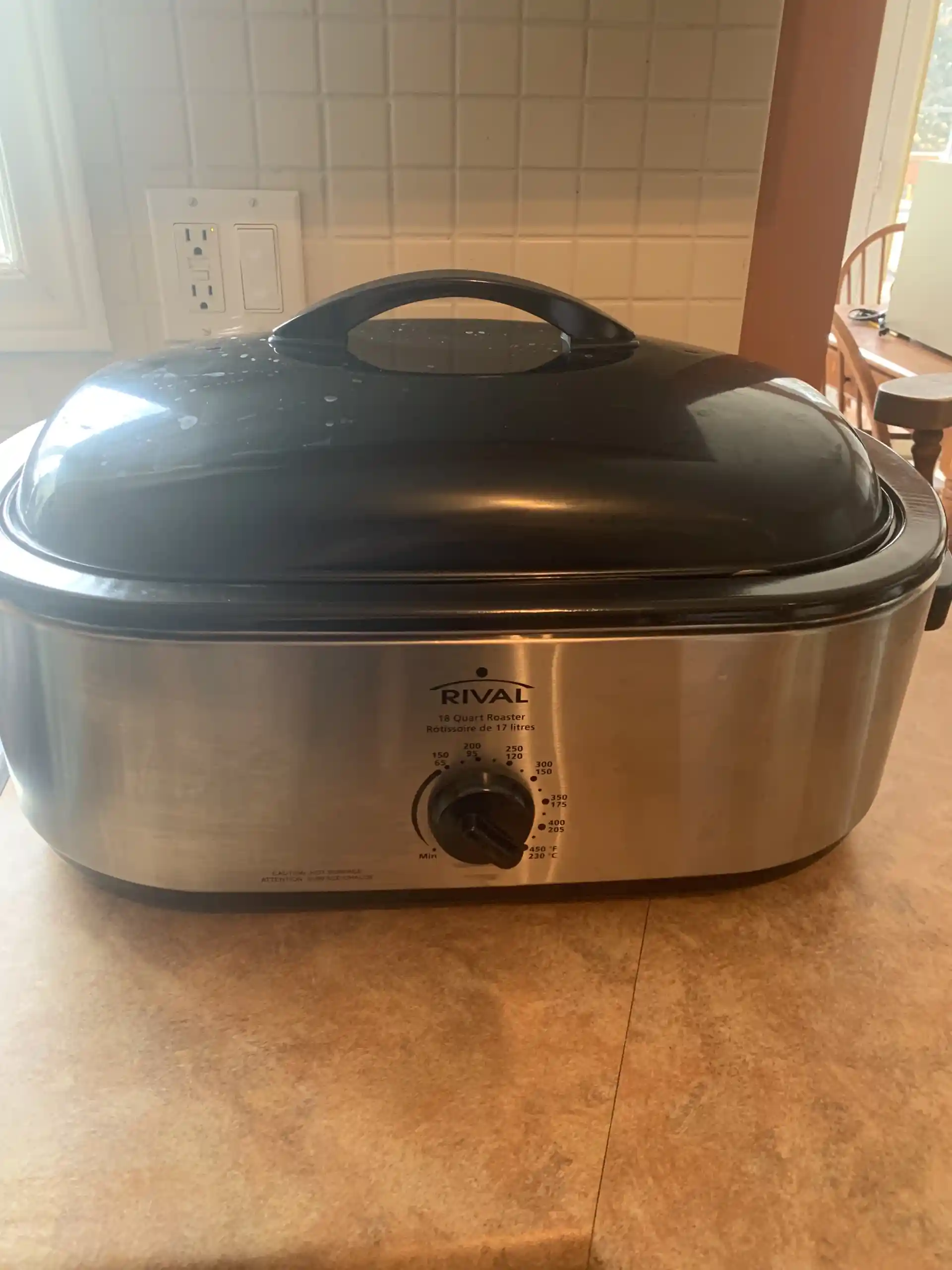 Rival Electric 18 Quart Roaster