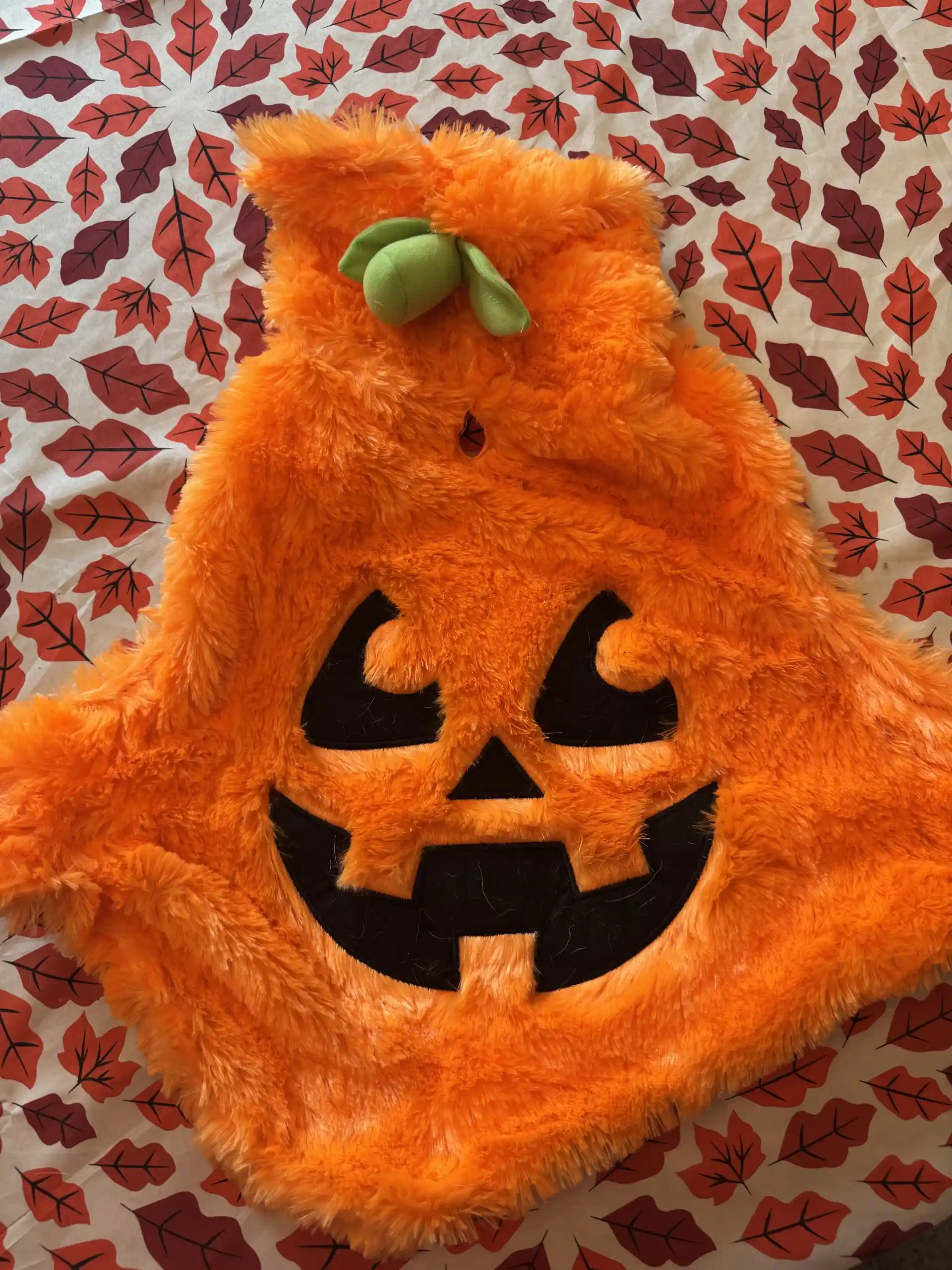 dog pumpkin costume