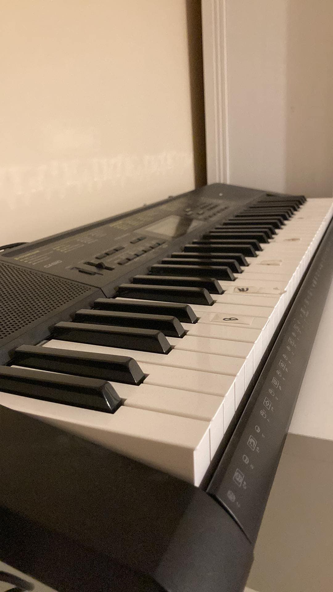 Casio Piano Keyboard