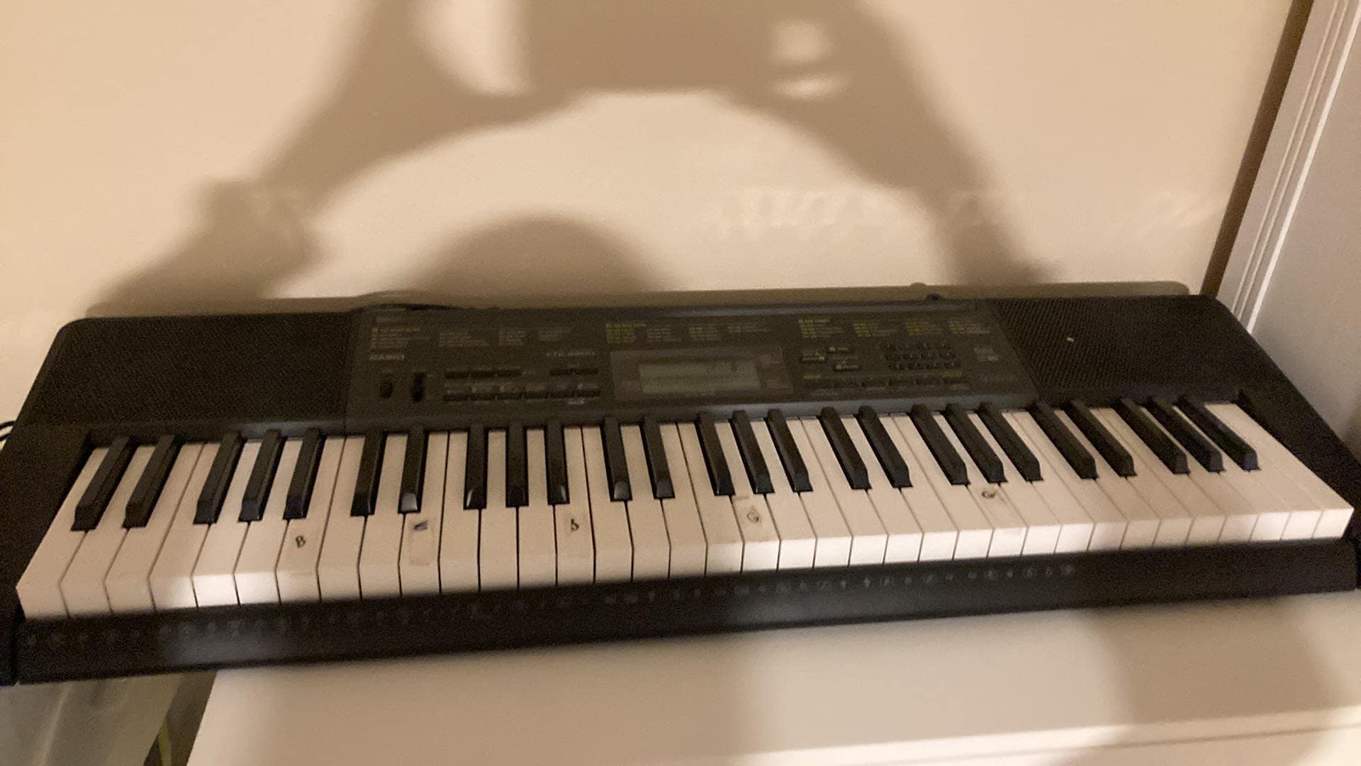 Casio Piano Keyboard