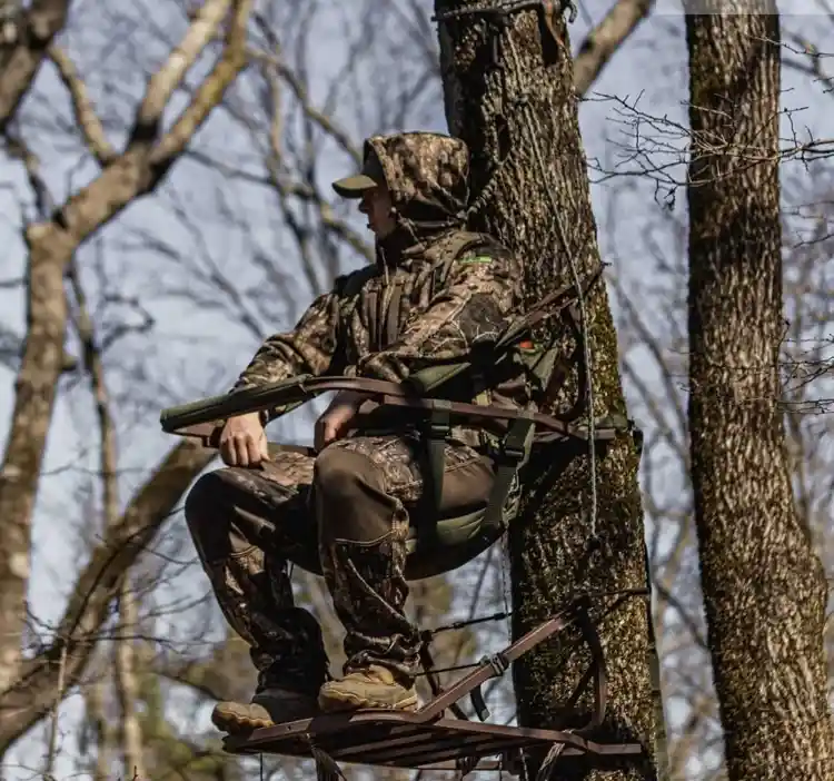 Tree Stand