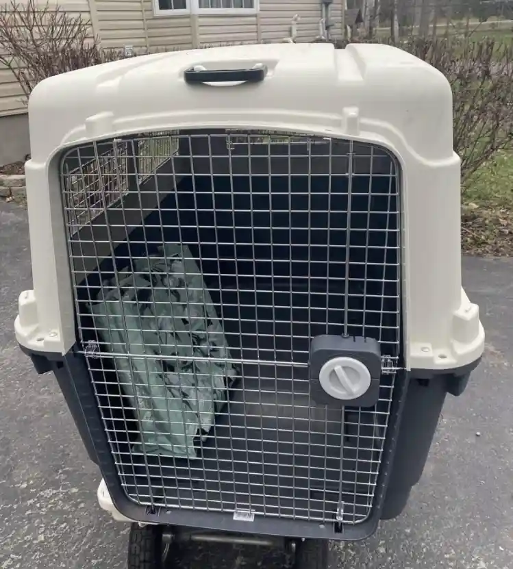 XL Pet Crate