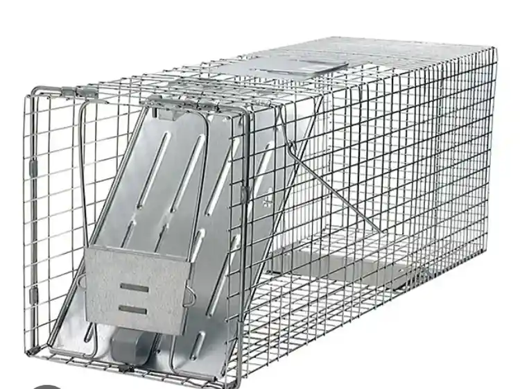 Medium Animal Trap