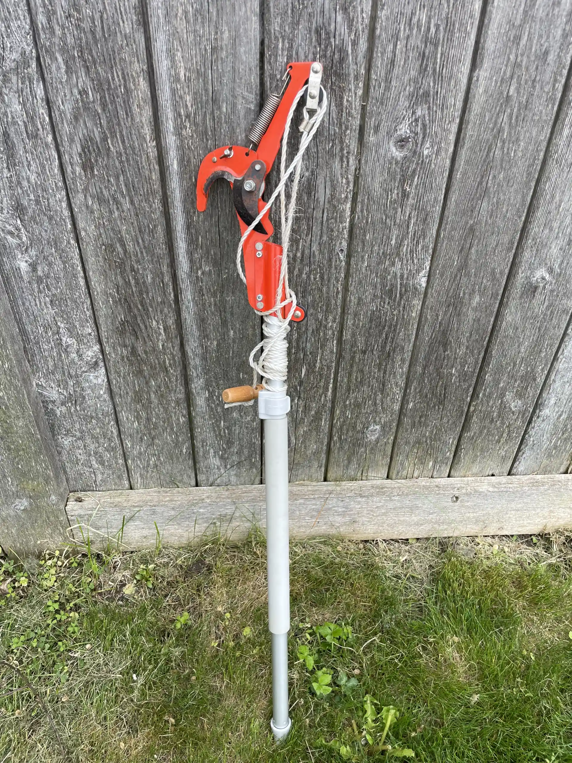 Tree pruner