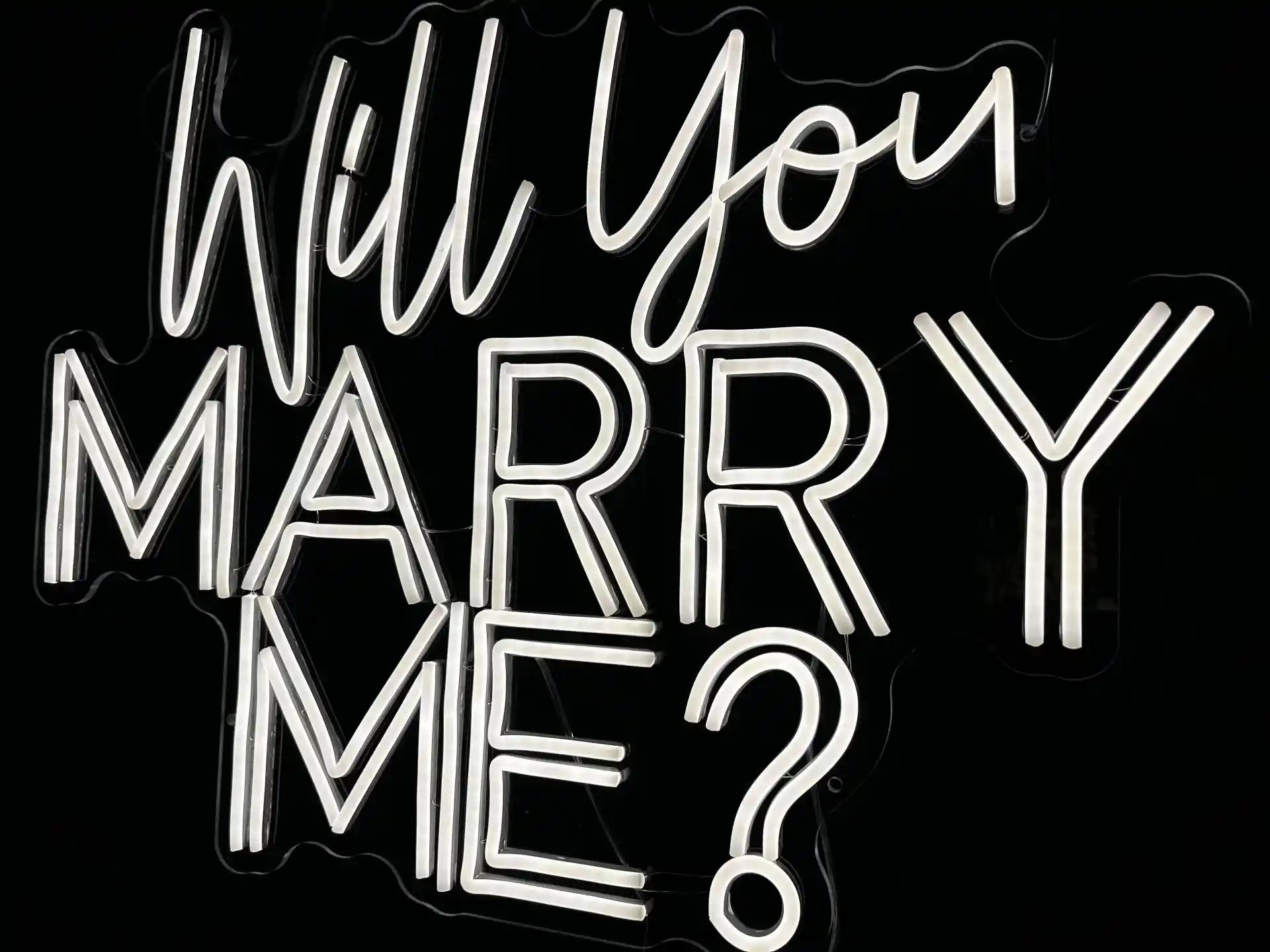 Will You Marry Me Neon Sign
