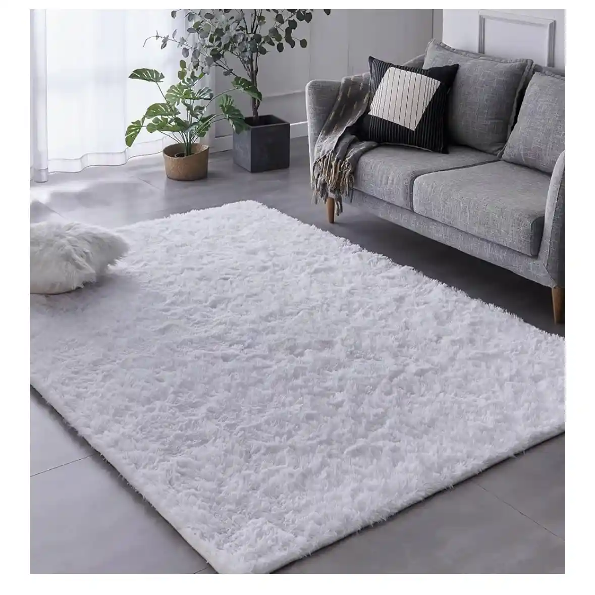 rent- area rug