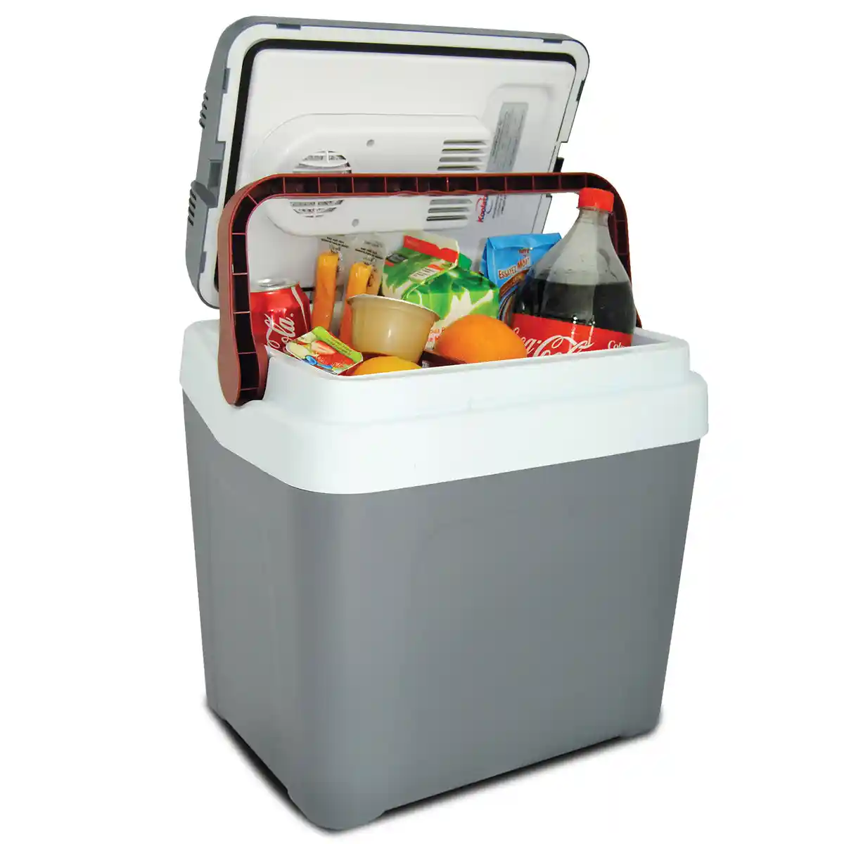 rent-electric cooler