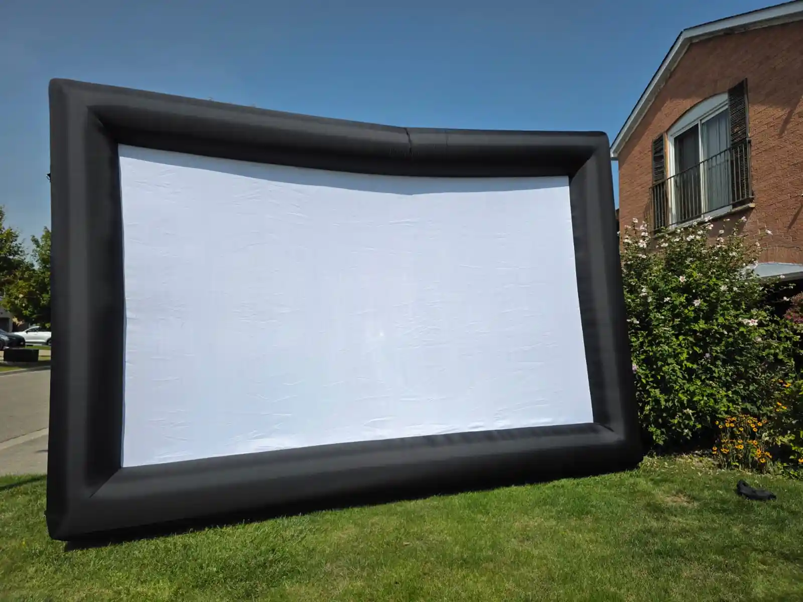 20ft Projector Screen n Projector
