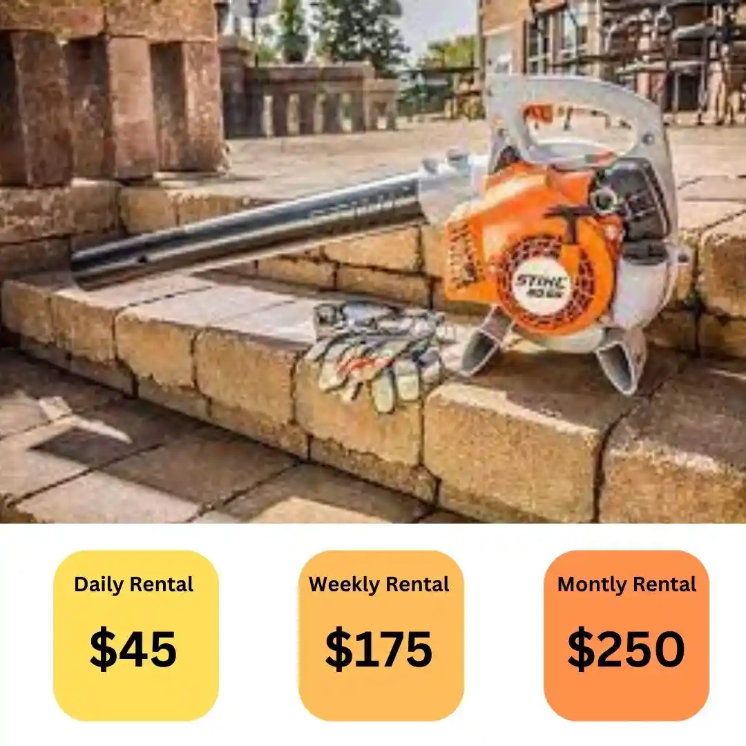 Stihl Chainsaw MS 170