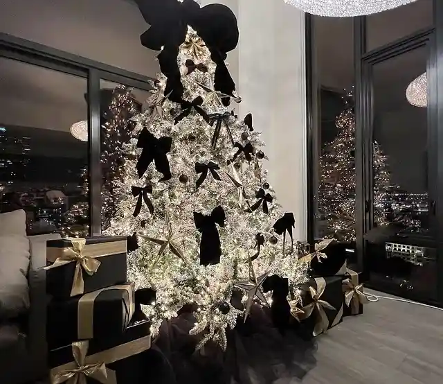 Christmas Tree Rentals