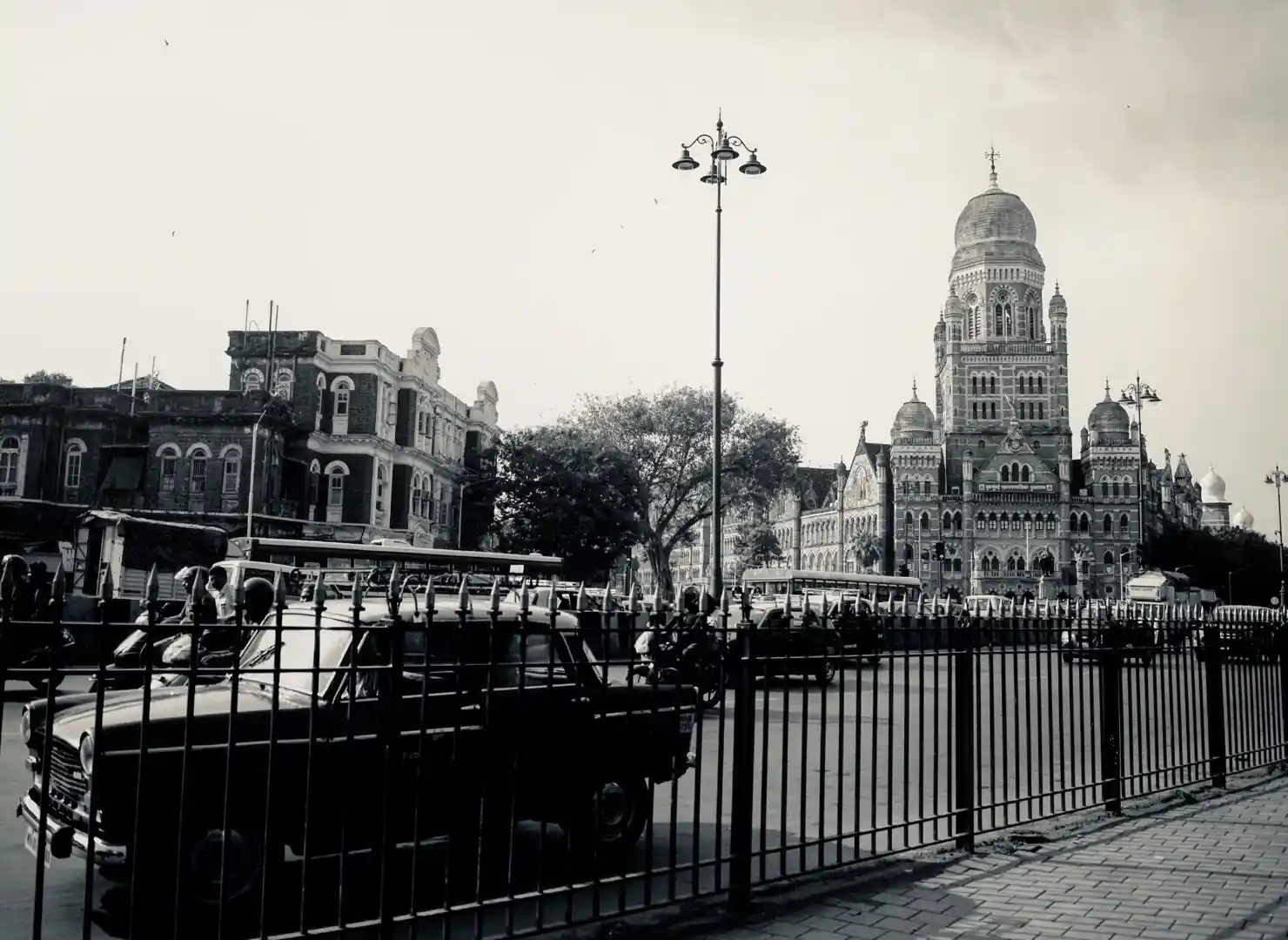 Canon A1 Film Camera (with FREE Tutorial)