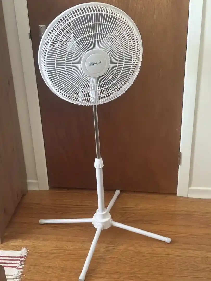 Fan