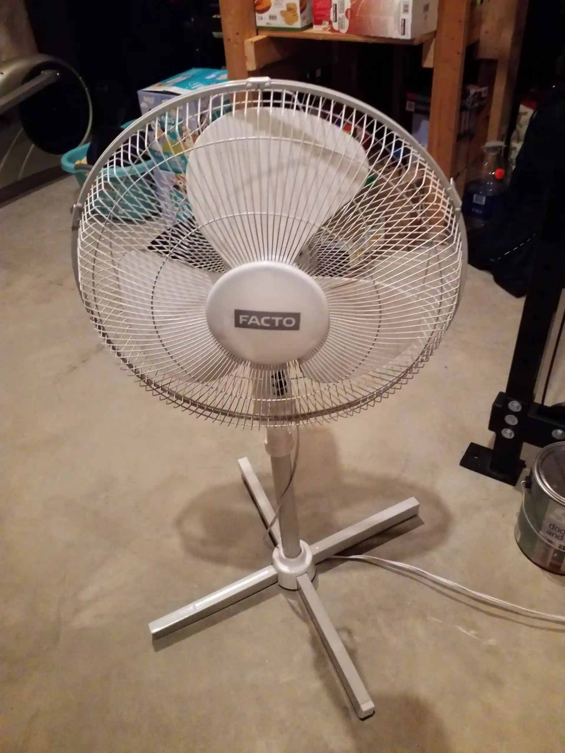 Fan
