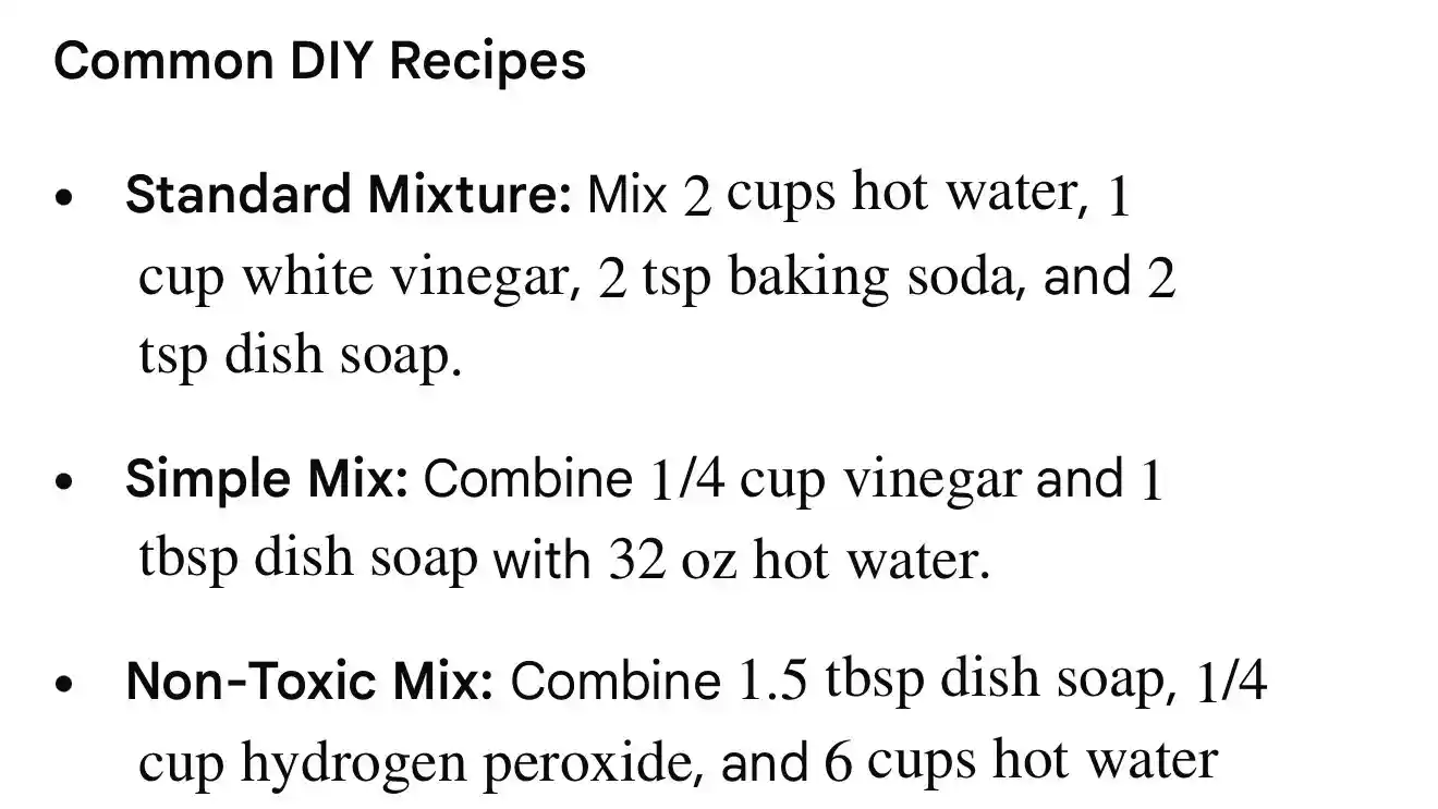 Little Green Machine Caroet and Upholstery Cleaner