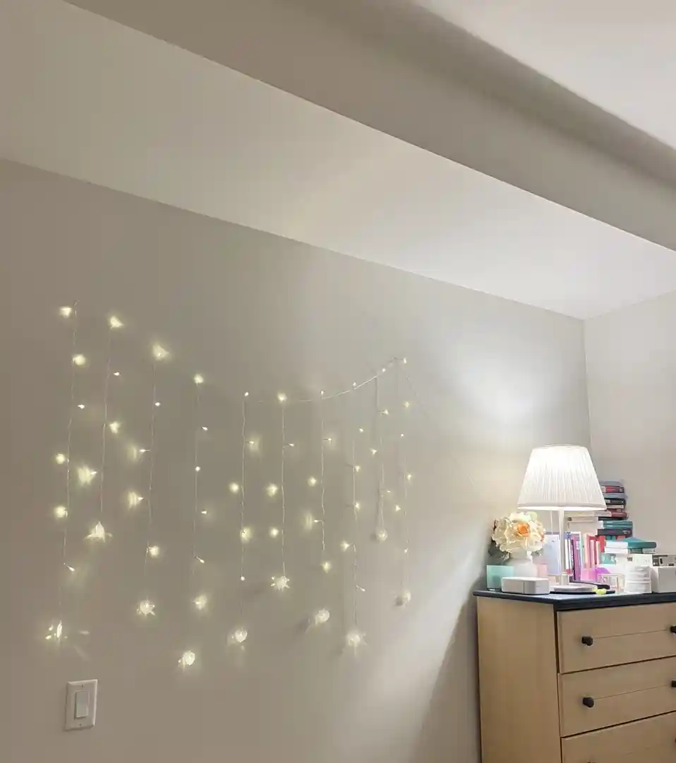 Heart Fairy Lights